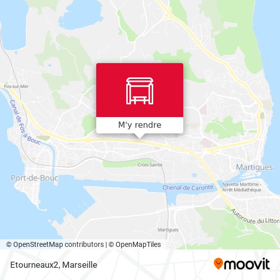 Etourneaux2 plan