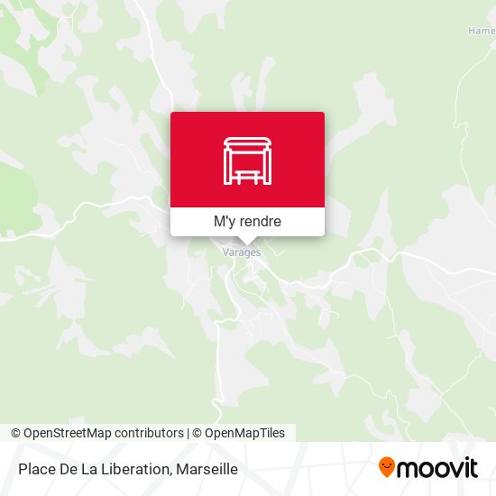 Place De La Liberation plan