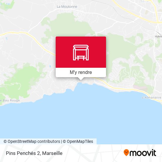 Pins Penchés 2 plan