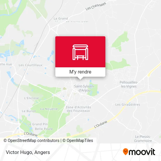 Victor Hugo plan