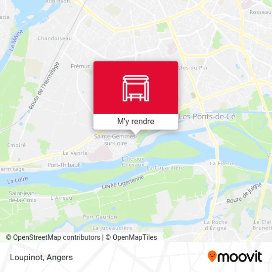 Loupinot plan