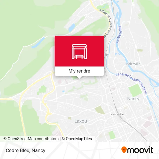 Cèdre Bleu plan
