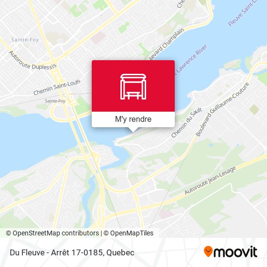 Du Fleuve - Arrêt 17-0185 plan