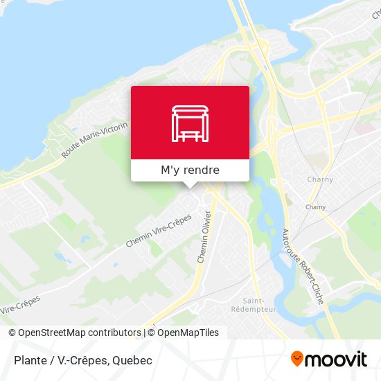 Plante / V.-Crêpes plan