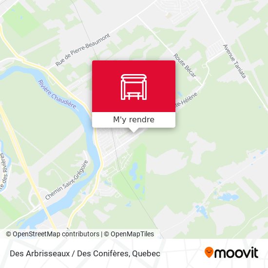 Des Arbrisseaux / Des Conifères plan