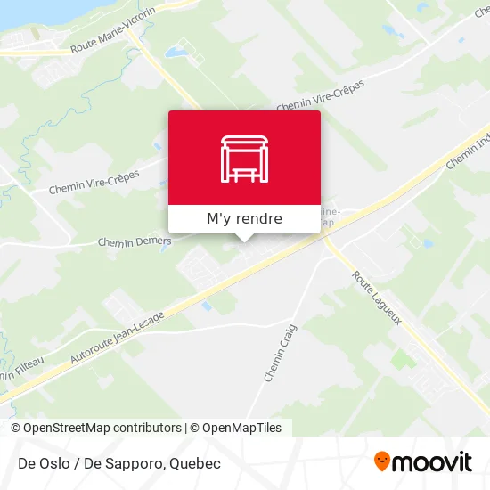 De Oslo / De Sapporo plan