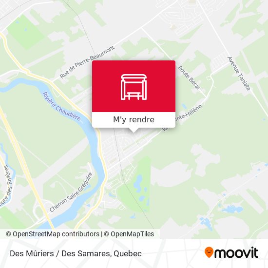 Des Mûriers / Des Samares plan
