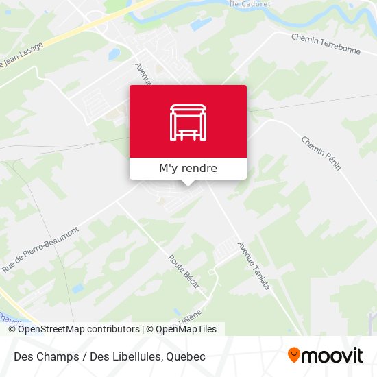 Des Champs / Des Libellules plan