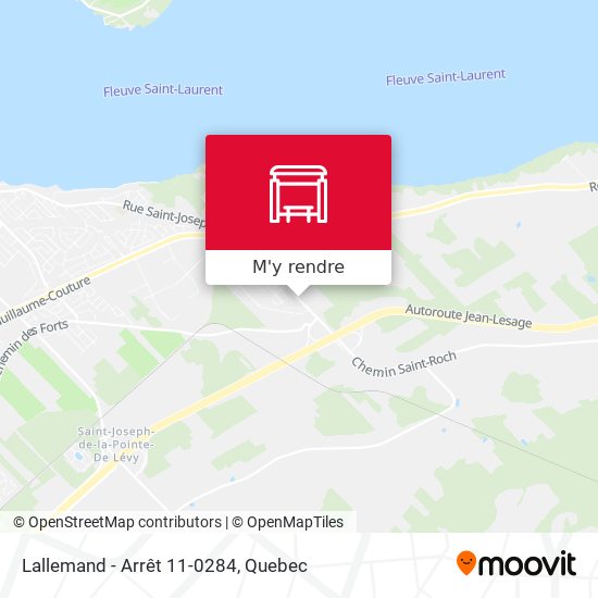 Lallemand - Arrêt 11-0284 plan