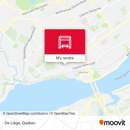 De Liège plan