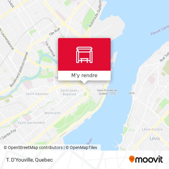 T. D'Youville plan