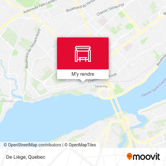 De Liège plan