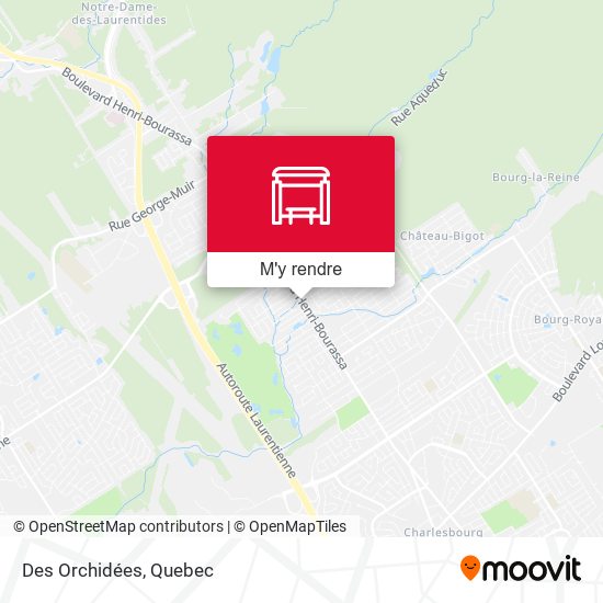 Des Orchidées plan
