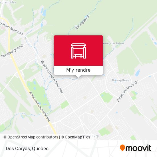 Des Caryas plan