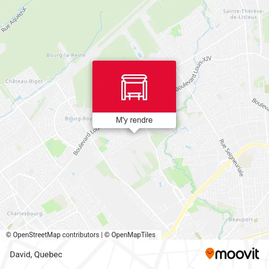 David plan