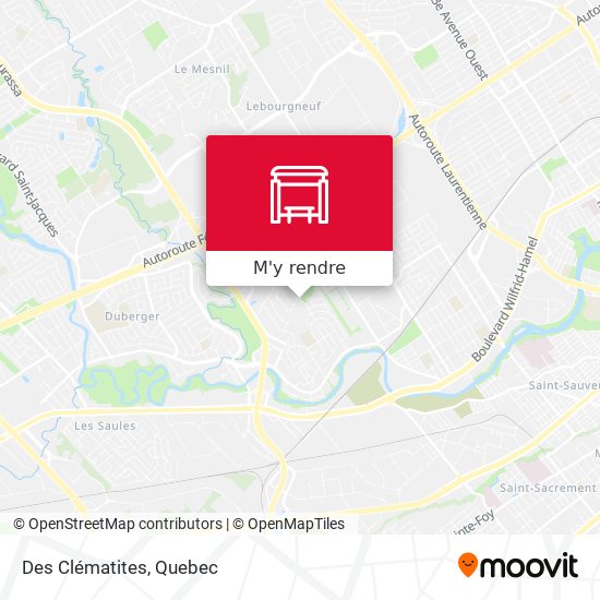 Des Clématites plan