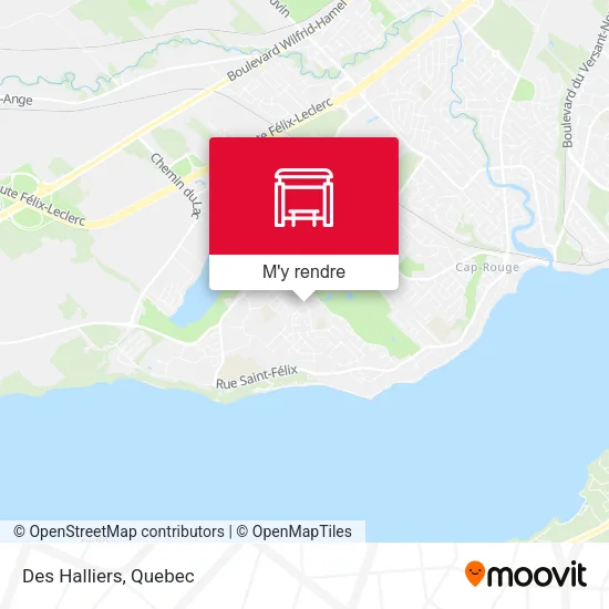 Des Halliers plan