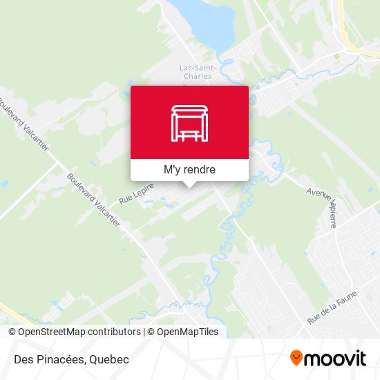 Des Pinacées plan
