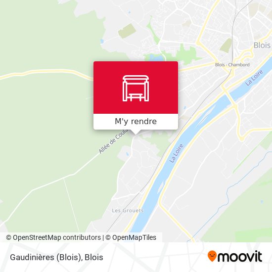 Gaudinières (Blois) plan