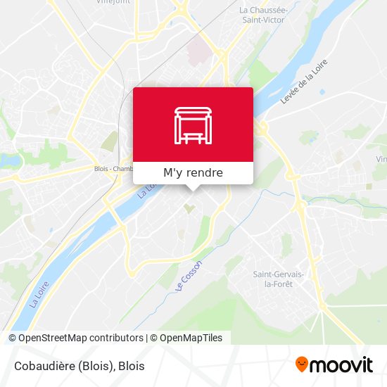 Cobaudière (Blois) plan