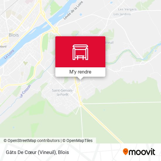 Gâts De Cœur (Vineuil) plan