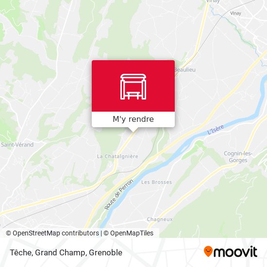 Têche, Grand Champ plan