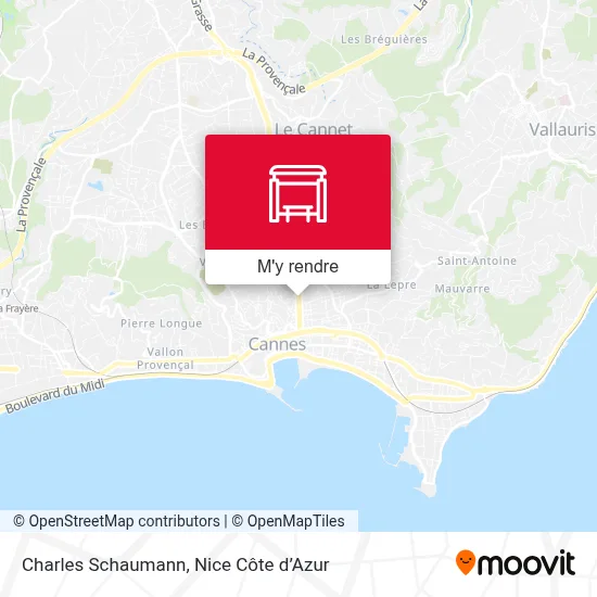 Charles Schaumann plan