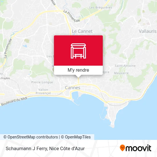 Schaumann J Ferry plan