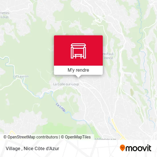 Village plan