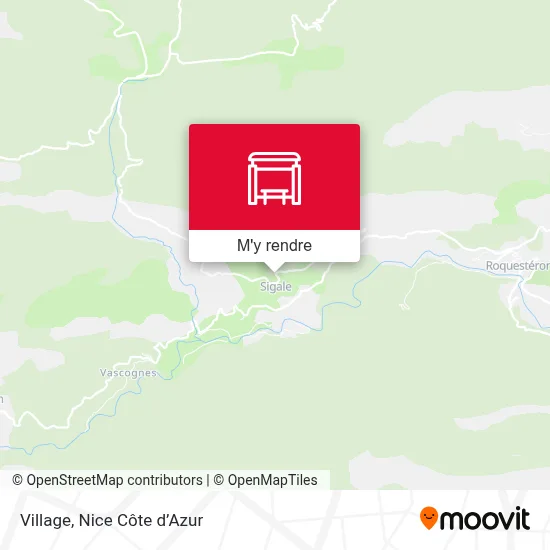 Village plan