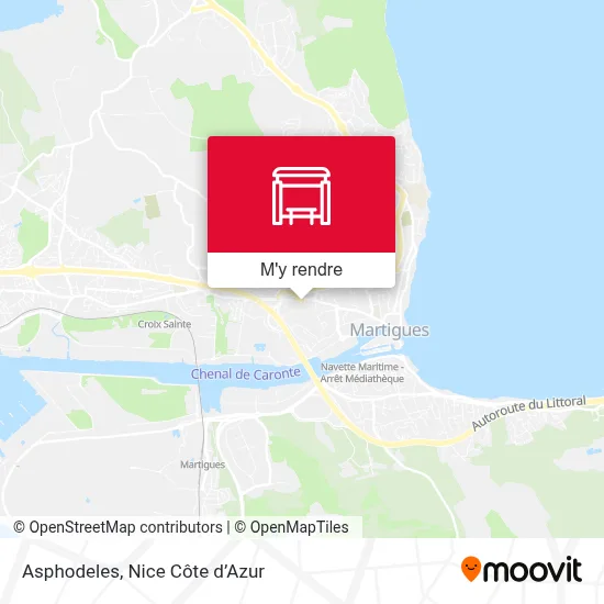 Asphodeles plan
