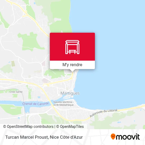 Turcan Marcel Proust plan
