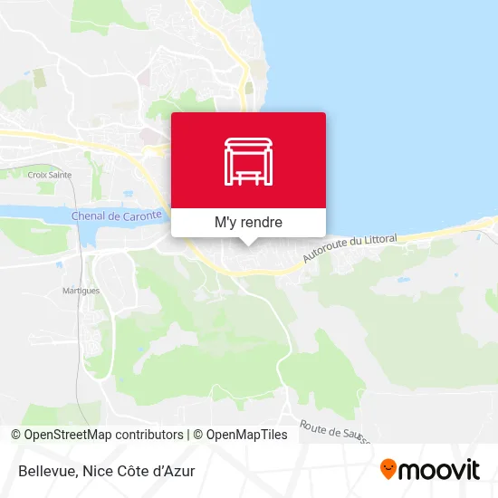 Bellevue plan