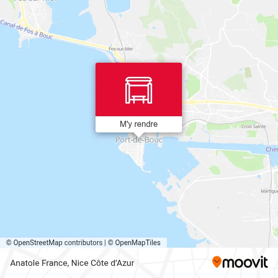 Anatole France plan