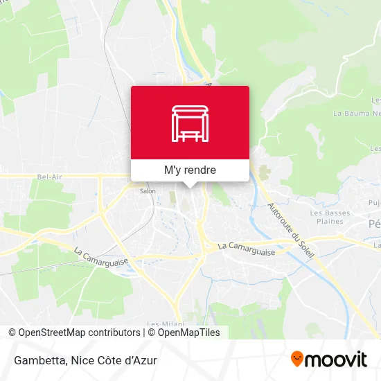 Gambetta plan