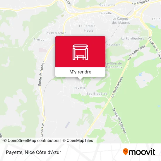 Payette plan