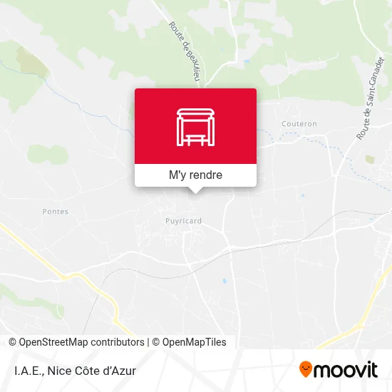 I.A.E. plan