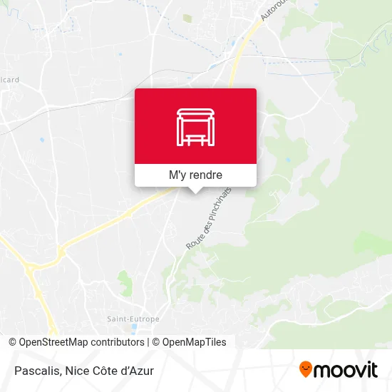 Pascalis plan