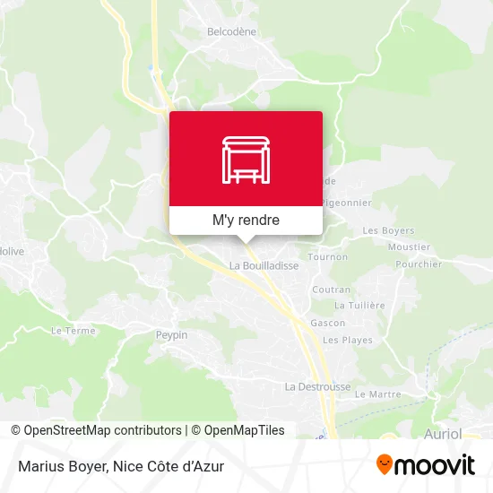 Marius Boyer plan