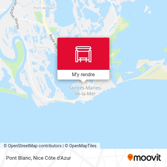 Pont Blanc plan