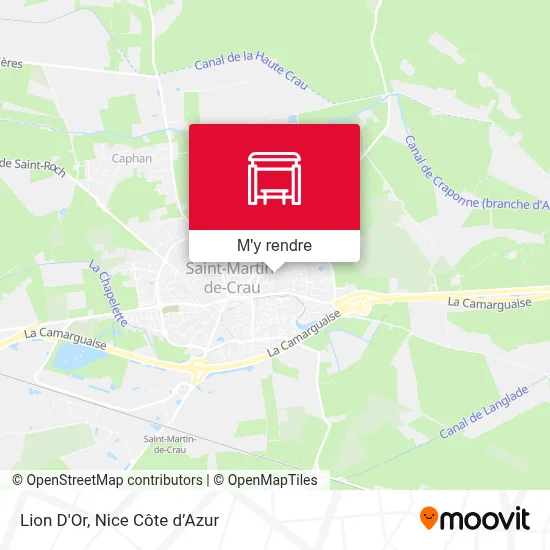 Lion D'Or plan