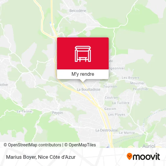 Marius Boyer plan