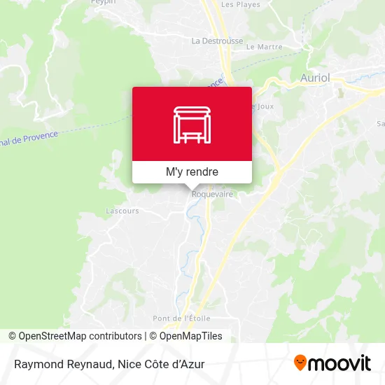 Raymond Reynaud plan