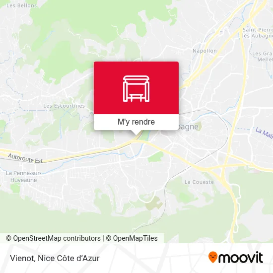 Vienot plan