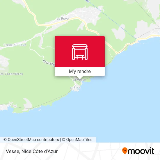 Vesse plan