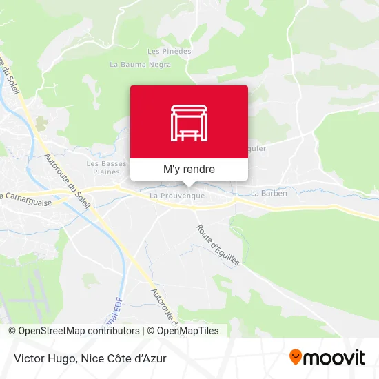 Victor Hugo plan