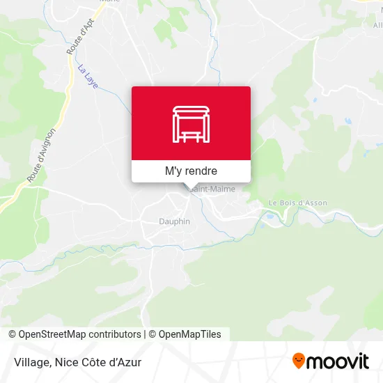 Village plan