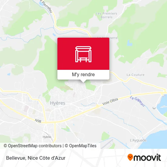 Bellevue plan