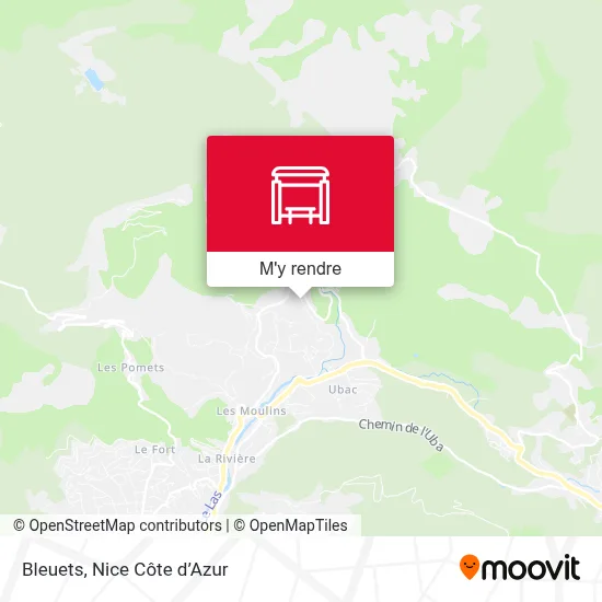 Bleuets plan