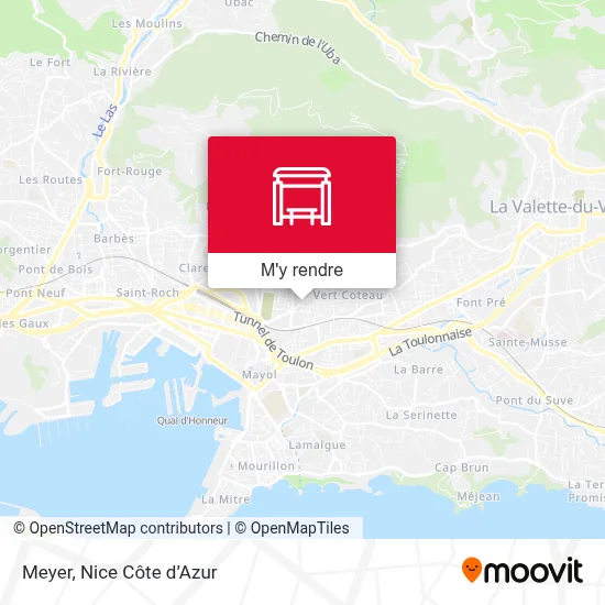Meyer plan